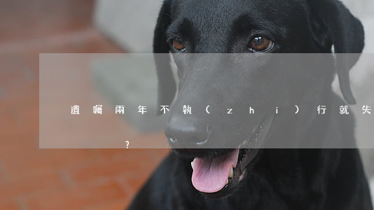 遺囑兩年不執(zhí)行就失效了嗎？